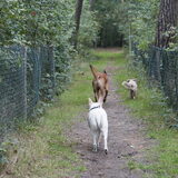 Foto van Hetty & Skipper