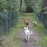 Foto van Hetty & Skipper