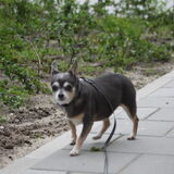 Foto van team Shadow