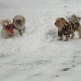 Leukkkk in de sneeuw