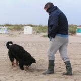ben ook al een paar x op texel geweest