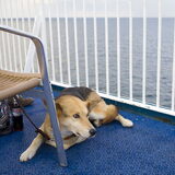Op de boot