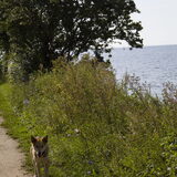 bij de zee