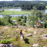Foto van Cornelie