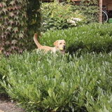Foto van Ina en Boris