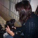 Even kijken is dit Luna.