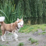 Foto van Shamilla & Zena