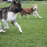 Foto van Shamilla & Zena