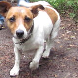 Foto van Amigo en K.C.