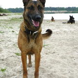 Bentley dochter van Blitz