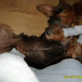 Foto van gerrie en droopy