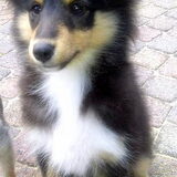 knappe bailey(L)