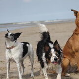 Charlie's Angels.(uhuh come on come on)