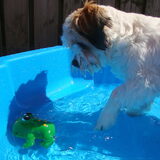 Lekker spelen in het water