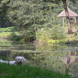 Foto van Linda en Nousya