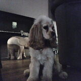 Foto van brent en ruby