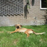 Foto van Sanne