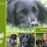 Voor Maks & Fenna !