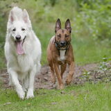 Foto van Hetty & Skipper