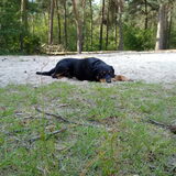 Foto van .