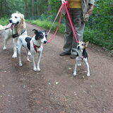 Foto van Marie-Rose & Tibootje (RIP) + Freya'tje