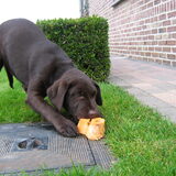 11/11/08 3 maanden, amai wat een lekker been.