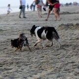 Sychroonwandelen haha