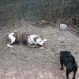 lisa en spike