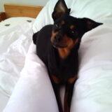 In mn bed :)