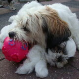 Zo lief samen