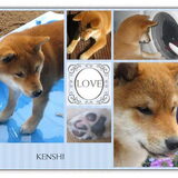 Voor Joni & Kenshi