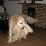 Simba word steeds speelser XXX