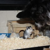 Andor met een van zn nieuwe vriendinnetjes haha