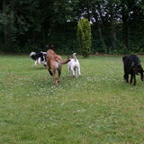 Foto van Ina, Misty en Aysa