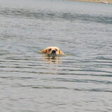Foto van Janneke