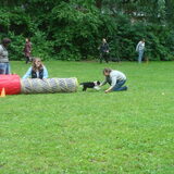 1e keer puppycursus (zaterdag 30 juli)