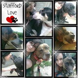 Foto van Melissa, Dempsey, Taiko, Minos & *Nina*