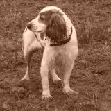 Foto van Liesbeth/Skinny