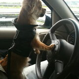 Zafiro is onze prive chauffeur