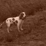 Foto van Liesbeth/Skinny