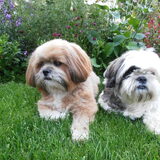 lotte en kyra 30-07-2011