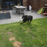 SPELEEEEEN!