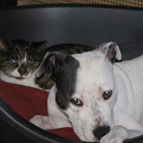 Foto van alex en lady