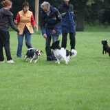 Foto van team Shadow