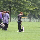 Foto van team Shadow