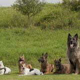 Foto van De Mecheltjes clan
