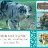 Voorbeeld waakbordje