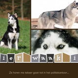 Voorbeeld waakbordje