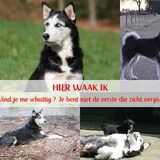 Voorbeeld waakbordje