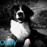 Foto van silke & woody